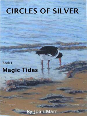 cover image of Magic Tides